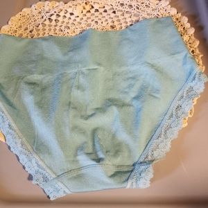 Secret Treasures Women's Wideband Brief Panty Underwear Intimates, Blue Aqua Med